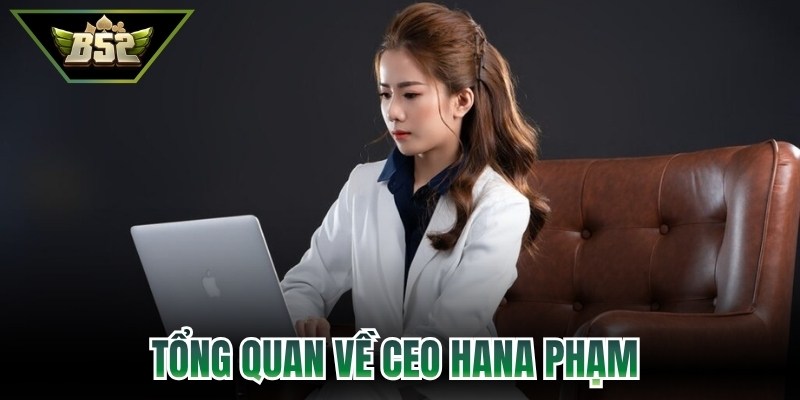CEO Hana Phạm - Nữ Lãnh Đạo Bản Lĩnh Của Hệ Thống B52 1 Tổng quan về CEO Hana Phạm