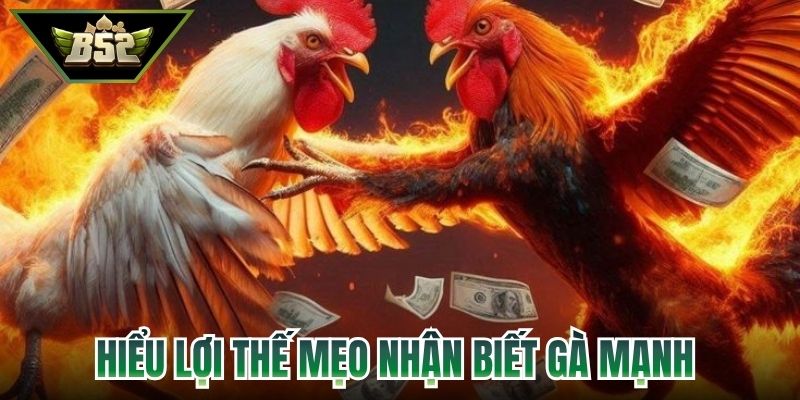 Hiểu lợi thế cùng mẹo nhận biết gà mạnh 