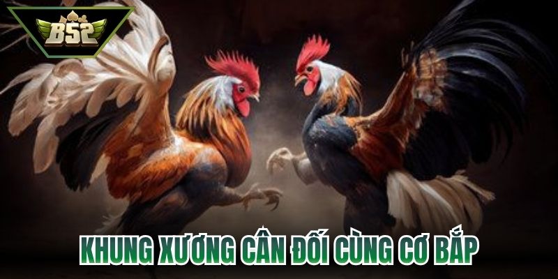 Khung xương cân đối cùng cơ bắp phát triển vượt trội 