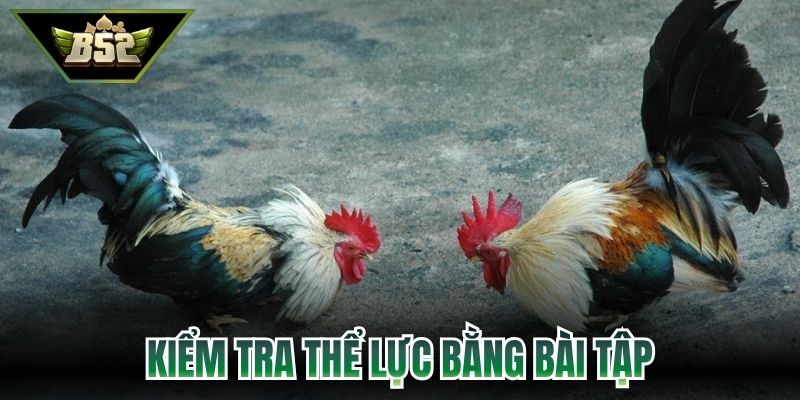 Kiểm tra thể lực bằng bài tập rèn luyện phù hợp