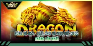 rong ho b52 thumb