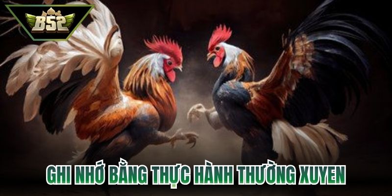 Ghi nhớ nhanh bằng cách thực hành thường xuyên 