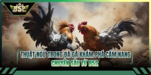 Thuật Ngữ Trong Đá Gà Khám Phá Cẩm Nang Chuyên Sâu Từ B52