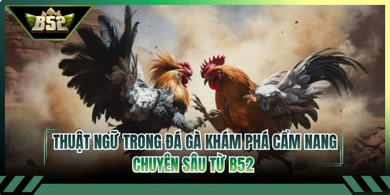 Thuật Ngữ Trong Đá Gà Khám Phá Cẩm Nang Chuyên Sâu Từ B52