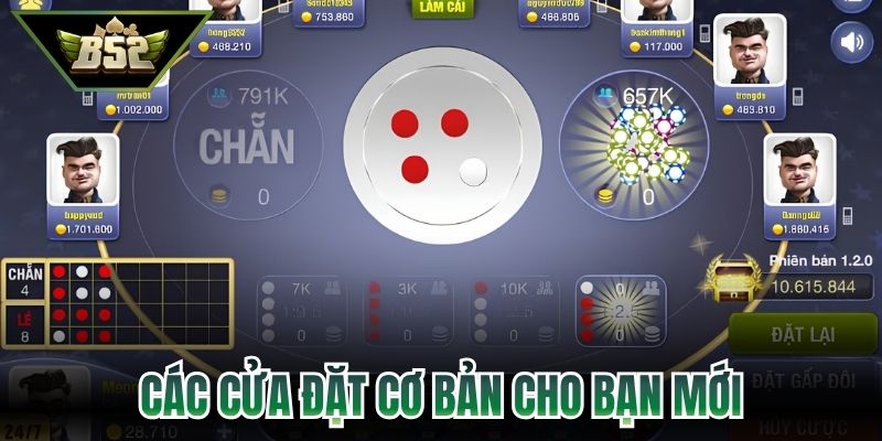 Các cửa đặt cơ bản cho bạn mới
